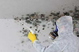 Best Water Damage & Mold Remediation  in North Hills, NY